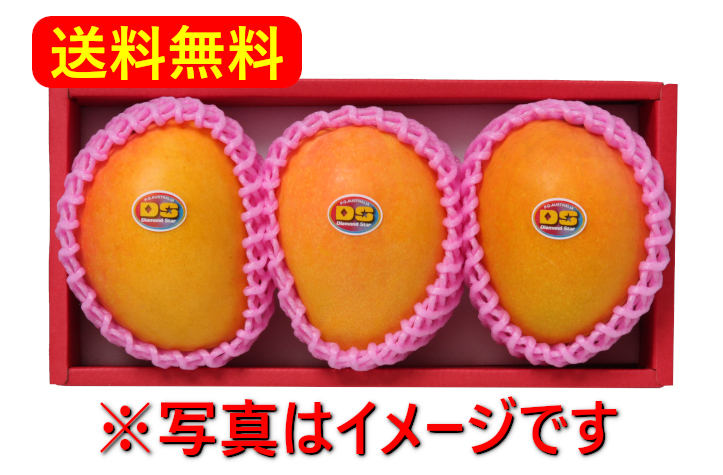 [SOLD OUT / Online Limited] Australian Premium Mango Approx 1.0kg (3 mangoes : Japan Delivery On