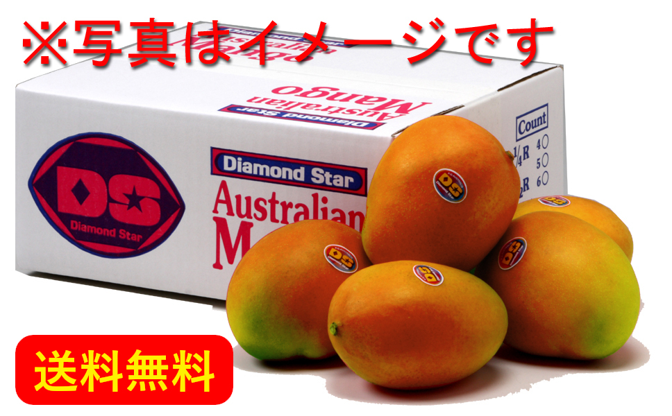 [Sold Out] Australian Premium Mango 2.0kg (4-8 mangoes : Japan Delivery Only) [ZO-OSDS2K]