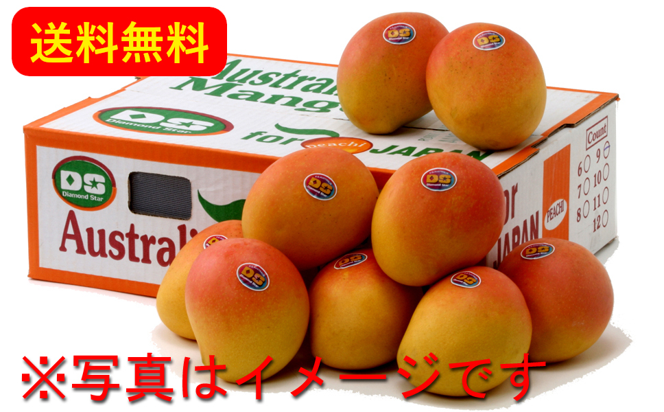 【早割】オーストラリア産プレミアムマンゴー 約3.3kg (6~12玉 : 日本配達のみ) 【早割】オーストラリア産プレミアムマンゴー 約3.3kg (6~12玉 : 日本配達のみ)