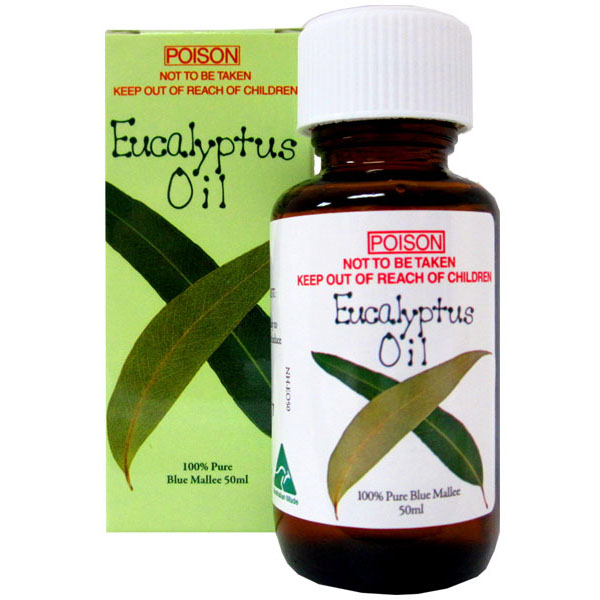 Eucalyptus Oil 100% 50ml
